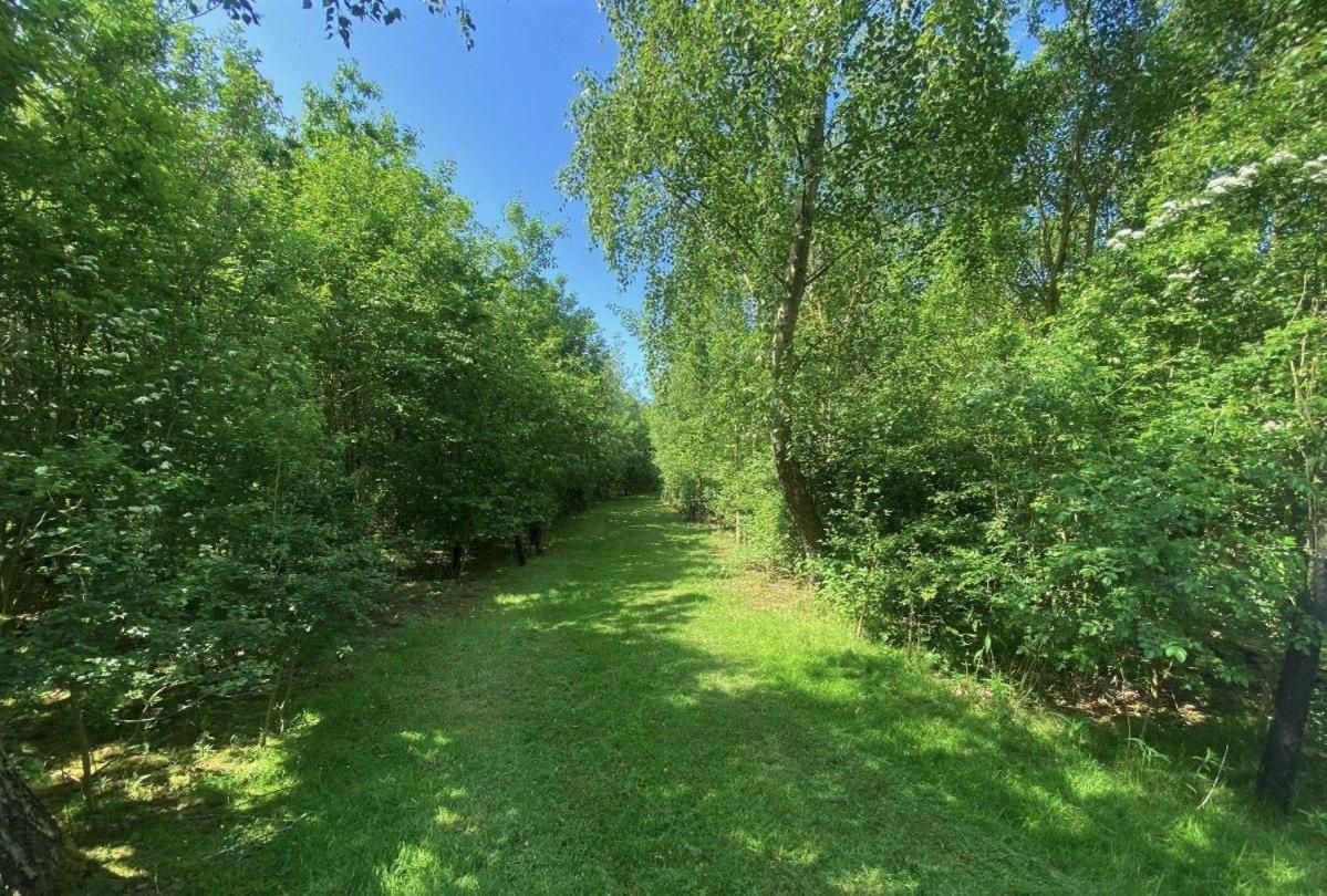 East Lodge Bedale Εξωτερικό φωτογραφία